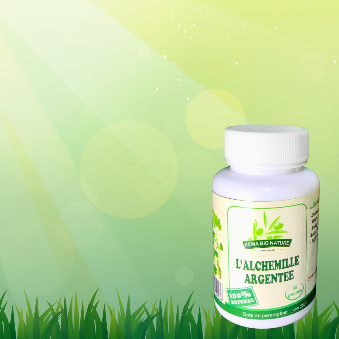 Image de Alchemille