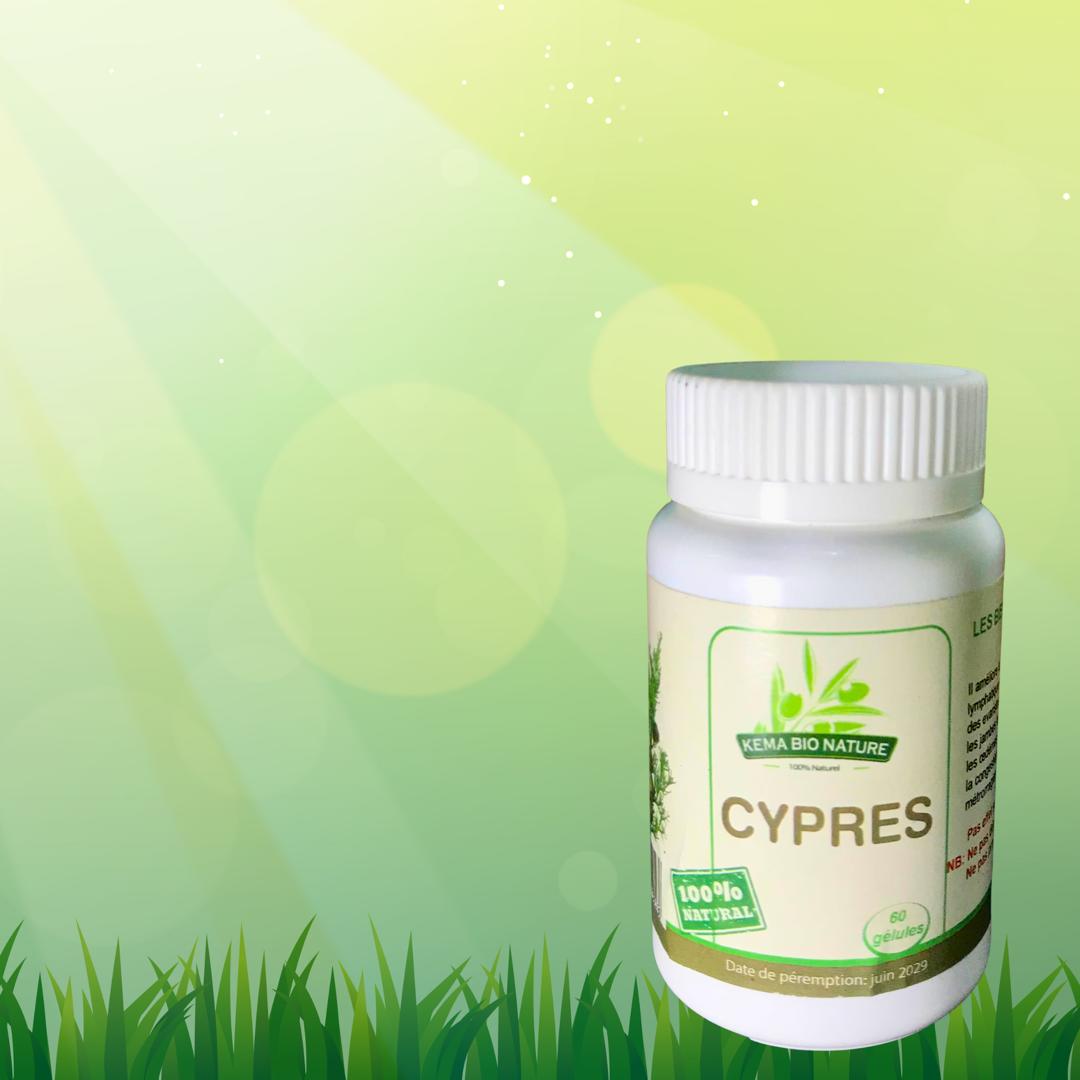 Image de Cypres