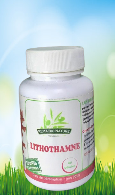 Image de Lithotamne