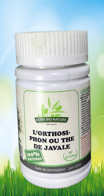 Image de Orthosiphon