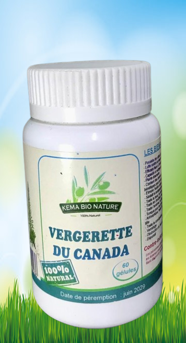 Image de Vergerette